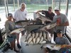 (07/13/2017) - Nice Striped Bass